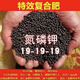 Stanley San'an 19-19-19 fertilizer oil-flowing universal compound fertilizer flower fertilizer melons, fruits, vegetables and aquatic products original ten Jin Jin equal to 0.5 kg sub-package trial genuine guarantee