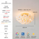 Lámparas Molan y lámparas de techo de dormitorio, lámparas de habitación romántica francesa, accesorios de iluminación de lujo creativos de luz en la nube, CRI9755-Tres colores para cambiar luz