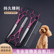 Zhizhou pet grooming scissors, dog hair tool set, 7-inch trimming scissors, curved scissors, Teddy cat and dog pet scissors, rose red straight scissors + curling scissors + dental scissors + steel comb + bag