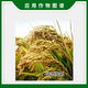 Lanyue Aigensheng 2% indolebutyric acid naphthalene acetic acid rice growth regulator to improve transplantation and root growth regulator 200g