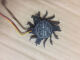定制适用工控机风扇 YT5010HB YT501005MB LDH6010B 软路由POSITX LDH6010B 12V 款叶宽4.5