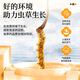Lei yun Shang gebrochenes Gras 20g Cordycep