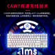 Cherry Cherry Keyboard MX8.2 Clavier sans fil Clavier à trois modes Clavier mécanique Clavier Bluetooth Gamiage Clavier Clavier de bureau 87 Clavier RVB Couleur Lumière Aluminium Clavier Axis noir blanc