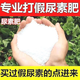 Directly from the manufacturer, general-purpose urea fertilizer, nitrogen fertilizer for growing flowers, vegetables, fruit trees and flowers, organic fertilizer, nitrogen, phosphorus and potassium fertilizer, urea vegetable special fertilizer, 10 times the effect, 1 Jin Jin is equal to 0.5 kg