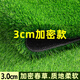Qingya lawn simulation carpet artificial fake turf outdoor bedding kindergarten green artificial floor mat plastic grass decoration 3 cm encrypted version (2 meters wide x 15 meters long)