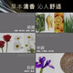 施华蔻防落发调理修护洗发水600ml(无硅油 蓬松 防掉发 男女)
