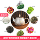 
Maolin Silver Pot orchid 999 foot silver tea set silver teapot tea cup tea ceremony home kung fu brew teapot owner cup one pot 4 cup + 1 fair cup total about 675g