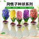 Imported hyacinth seed bulbs, large ball hydroponic office soil culture potted plants, winter cold-resistant flowering, easy to grow flowers for novices, blue pearls, circumference 16/17cm