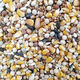 New pigeon food nutrition contains corn 10kg bird food homing pigeon white adult young pigeon ornamental pigeon food without corn pigeon food 10Jin Jin is equal to 0.5 kg