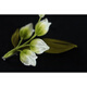 La nouvelle broche de fleurs en velours de Shiyun en 2025 de style Yangzhou patrimoine culturel intangible Lily à la main de la vallée Gift de la Saint-Valentin pour la coiffure de petite amie (non soutenue pendant 7 jours sans raison)