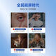 Protection oculaire trésor ginseng saponine lutéine à haute activité composée nutrition intelligente protection oculaire pulvériser liquide de soins oculaires * 9 + dispositif de soins oculaires * 1