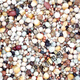 Pigeon feed with or without corn, sorghum, wheat, peas, pigeon food nutrition, pigeon food, bird food, pigeon food, letter, young pigeon, A-level clearance, 5 Jin, Jin is equal to 0.5 kg.