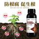 Tianyuan Fengqing root rot inhibitor damping-off rotten root rotten seedlings rapid root strengthening purification soil disease resistance 1000g 3 bottles of root rot inhibitor