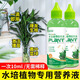 Flower Master Hydroponic Plant Special Nutrient Solution Lucky Bamboo Transfer Bamboo Brazilian Wood Tulip Pothos Copper Money Grass General Fertilizer Hydroponic Nutrient Solution 240ml 92% Household Purchase 2 Bottles