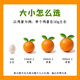 Orange navel Gannan, orange navel Gannan authentique, orange Jiangxi Ganzhou, orange pelée à la main, coffret cadeau de fruits frais, fraîchement cueillis en saison, 10 Jin Jin est égal à 0,5 kg, fruit unique sélectionné 110-160 g, poids net 9 Jin Jin est égal à 0,5 kg +
