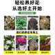Linya nutrient soil for flower cultivation, general purpose flower soil nutrient soil, universal flower planting soil, household potted flower plant planting soil, special flower cultivation soil 10Jin Jin is equal to 0.5 kg