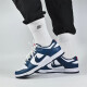 耐克（NIKE）休闲鞋男鞋2025夏季新款运动鞋Dunk Low低帮轻便板鞋DD1391-400 DD1391-400 39