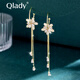Qlady Flower Tassel Earrings Women's Long Circle Temperament High-end Earrings Women's 2025 New Earrings Birthday Gift