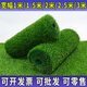 Qingya lawn simulation carpet artificial fake turf outdoor bedding kindergarten green artificial floor mat plastic grass decoration 3 cm encrypted version (2 meters wide x 15 meters long)