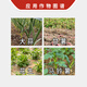 Lanyue Youjinlai 60 Choline Chloride Garlic Potato Peanut Rhizome Enlarger Pesticide Growth Regulator 100ml