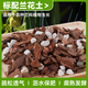 Linya orchid special soil nutritional soil planting material Clivia Phalaenopsis orchid soil particles high-end pine bark orchid standard orchid special soil 6L