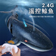 Hua Shimeng simulated remote control shark electric can enter the water and the whale will spray water and swing the giant tooth shark model remote control boat water toy
