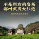 Zhenchashi Oolong Tea Wuyi Rock Tea Dahongpao Special 250g Boîte à feu moyen-feu Wuyishan Cinnamon Tea Brink