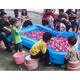 Piscina de pesca inflable para bebés sangshu piscina de pesca para niños de piscina para niños mares de la playa parque para el hogar juguetes para niños jugando cubierta de piscina 130 cm piscina piscina piscina de arena + bomba eléctrica