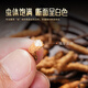 胡庆余堂冬虫夏草5根/g 8克红色对开礼盒装约38-40根西藏虫草礼盒天号50