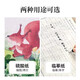 Liupintang copy paper copy paper transparent paper tracing practice calligraphy special sulfuric acid paper a4 fountain pen copybook tracing red thin paper a3 hard pen tracing paper rubbing paper calligraphy painting tracing paper transfer