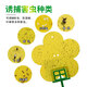 Zhongjie square flower-type armyworm board small flying insect yellow board double-sided armyworm trap flower household small black flying aphids 1 box 12 tablets