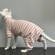 Weiji's new hairless cat clothes for spring and autumn Sphynx German curly cats and kittens pure cotton belly protection four-legged clothing four-legged striped thin section M-medium [recommended within 5-7Jin [Jin equals 0.5kg]]
