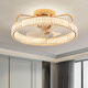 Fuxin Modern Light Luxury Bedroom ventilateur léger de plafond atmosphérique Éclair
