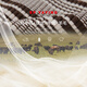 
EP Yaying Women's Clothing Wool Yak Wool Striped Knitted Sweater Pullover Shopping Mall Same Model 9923A Coffee M