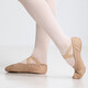 Sansha Dance Shoes Shoes Ballet The Practice Shoes Soft Shoes Micro-Slide Cat Claw Shoes S62d Pink 36
