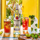 百加得（Bacardi）【十二星座鸡尾酒】-天蝎座 孟买蓝宝石金酒+金巴利+白朗姆酒 家 百加得白750孟买金巴利金酒 75mL