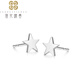 Falling Flowers and Crying Spring Platinum PT950 Earrings Platinum Star Language Earrings Five-pointed Star Simple Earrings for Women Star Language