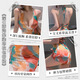 JIUUY女战袍性用品性感睡衣女用袜制服诱惑角色扮演诱惑激情睡裙民国套 夜店装3878珠链连衣裙+T裤深V炫