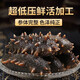 Factory direct sales of authentic wild sea cucumbers and sea cucumbers without ice, fresh deep sea sea cucumbers, high quality sea cucumbers wholesale, 20 extra large king sea cucumbers, net weight 1kg, no ice, vacuum individually packaged