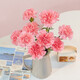 Carnation flowers holiday gift water-grown flowers for mom Yunnan flower base straight hair 10 random color carnations