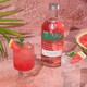 绝对伏特加（Absolut Vodka）洋酒 40度 瑞典原装进口鸡尾酒 调酒基酒 长岛冰茶 西瓜味 700mL 1瓶