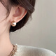Idel Japanese and Korean champagne gold earrings for women, light luxury niche design, high-end earrings, versatile earrings, birthday gift E3759 French earrings