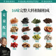 Old Valley Head Goddess Tea Men's Five Treasure Tea Five Finger Hair Peach Red Beans Coix Leaf Red Wolfberry Ginger and Jujube Tea 15 Cans Health Tea Series [15 Cans] Corn Skin Green Money Willow Mulberry Leaf Tea