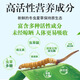 
[Tibet Straight Hair] Authentic First Fresh Cordyceps 2025 Selected High Altitude Fresh Cordyceps SF Cold Chain 0.5-0.6g/root 100 Roots