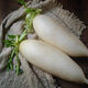 Crisp, sweet and refreshing fresh white radish, fruity radish, must-have pickled pickled vegetables for breakfast cold stir-fried hot pot. Fresh white radish 6Jin Jin equals 0.5kg. Selected boxes included.