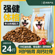 NetEase carefully selects dog food for puppies and adults, general-purpose native dog, Corgi, Husky, big bag, small and medium-sized dog main food, 2kg bag, care for the stomach and intestines, strengthen the body, formula