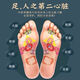 Baiyunshan Old Beijing Foot Patch Mugwort Warming Foot Patch Soles and Foot Patch Helps Legs, Sleep, Moisture, Big Belly, Whole Body, Five Boxes of Treatments