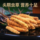 Liwei Leopard Cordyceps Boîte-cadeau 4-5 pièces / gramme 20 morceaux de cordyceps lyophilisés à haute altitude pour envoyer des cadeaux haut de gamme aux anciens et aux dirigeants