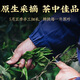 Zhenchashi Oolong Tea Wuyi Rock Tea Dahongpao Special 250g Boîte à feu moyen-feu Wuyishan Cinnamon Tea Brink