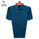 Specht (Tucano) 2025 Sommer kurzärmeliges T-Shirt für Männer im Sommer-Revers mit Taschen- und älteren Eisseide-Polo. Shirt Dad Anzug 753 Tic Toe [grün] [kurz] M 165/80A empfohlen 90-110jin [Jin ist 0,5 kg]